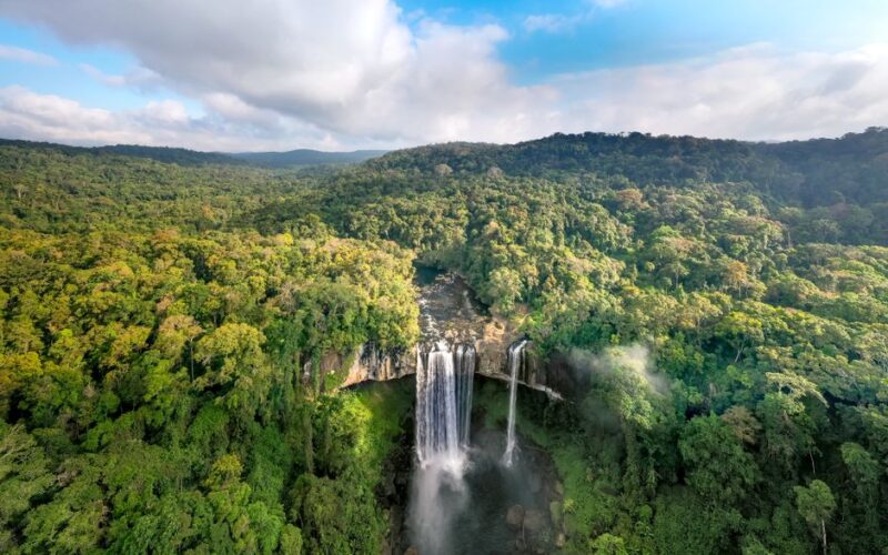 Legislação Ambiental: O Futuro dos Biomas em Debate