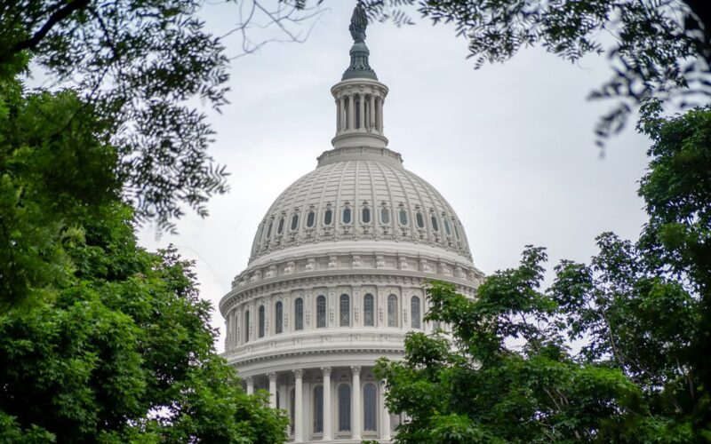 Legislação Ambiental: Regulação e Impasses